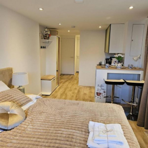 Charming Apartment in Lisse - 30 sqm with Terrace